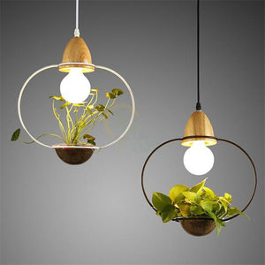 Zox - Modern Nordic Iron Pendant Planter Lamp